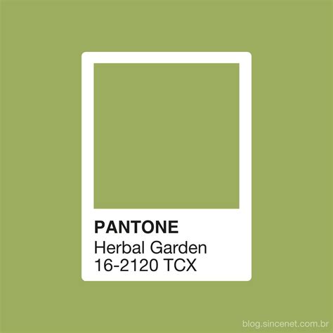 Pantone, Sketch book, Herbalism