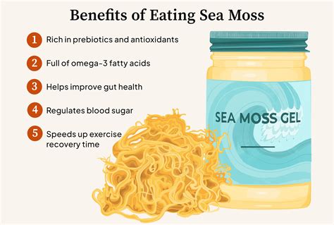 Why You Should Be Eating More Sea Moss