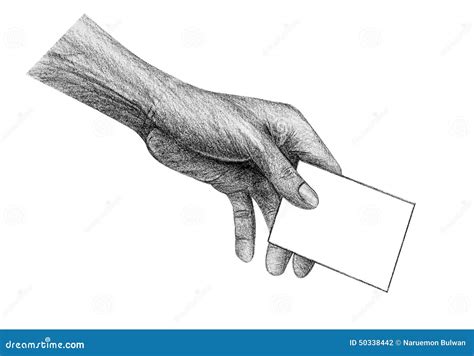 Hand holding paper stock illustration. Illustration of hand - 50338442