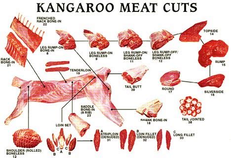 FITBOMB: Kangaroos Are For Eating