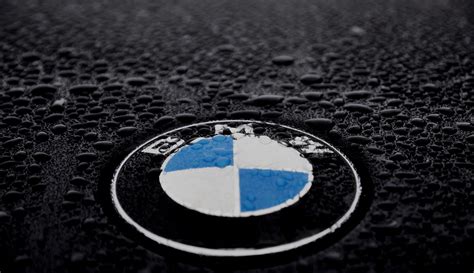 BMW logo HD wallpaper | Wallpaper Flare