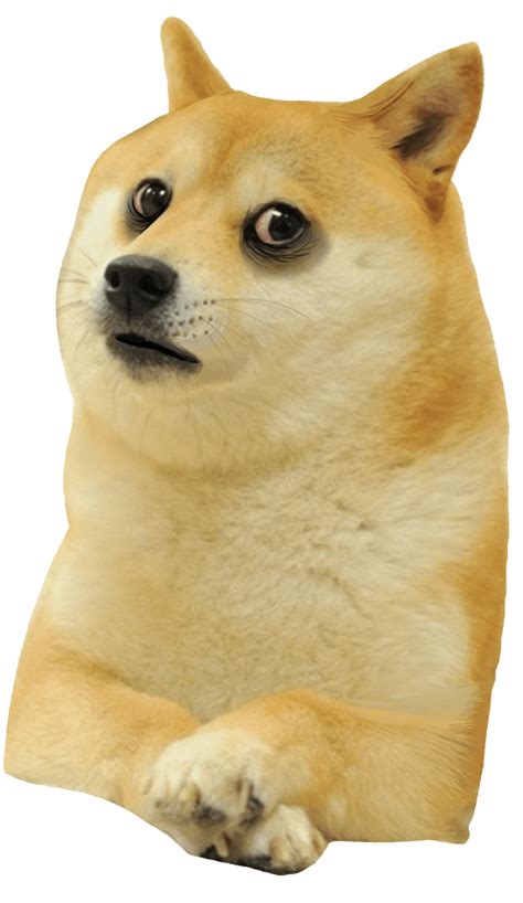 le depressed doge template has arrived : dogelore