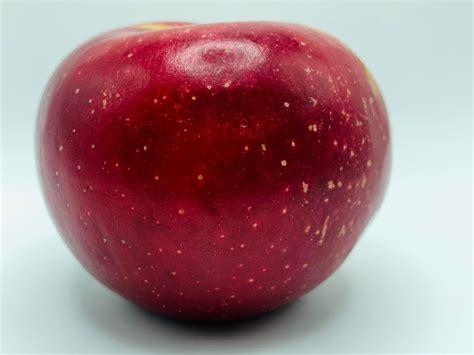 Heirloom Apples — Roots to Fruits Nursery