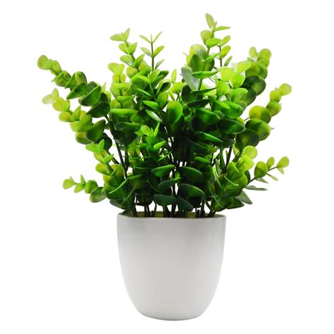 Buy OFFIDIX Mini Artificial Eucalyptus s with Vase for Office Desk,Fake ...