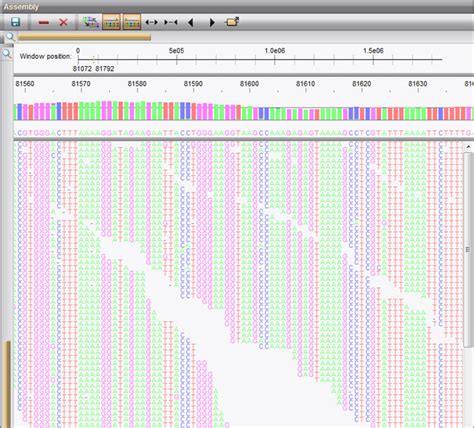 Next generation sequencing data assembly | Applied Maths