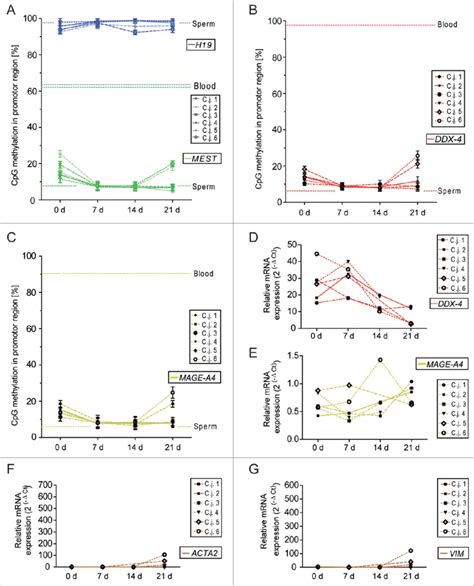 DNA methylation is stable in germ cells in vitro. (A-C) DNA methylation... | Download Scientific ...