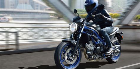 2022 Suzuki SV650 [Specs, Features, Photos] | wBW