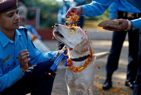 Tihar Festival in Nepal | Diwali - Festival of Lights - Stunning Nepal