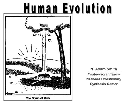 Human Evolution