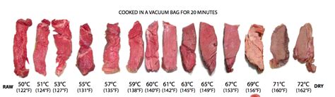 Sous Vide Beef Temperature Guide – Yoiki Guide