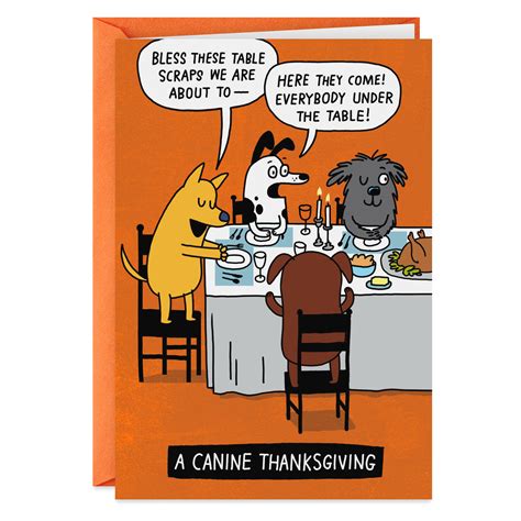 Doggone Happy Dog Feast Funny Thanksgiving Card - Greeting Cards - Hallmark