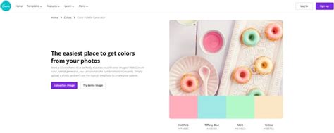 How to Use Canva Color Palette Generator Up Your Design