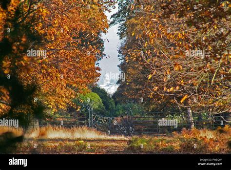 The view from King Henry's Mound in Richmond Park London Stock Photo - Alamy