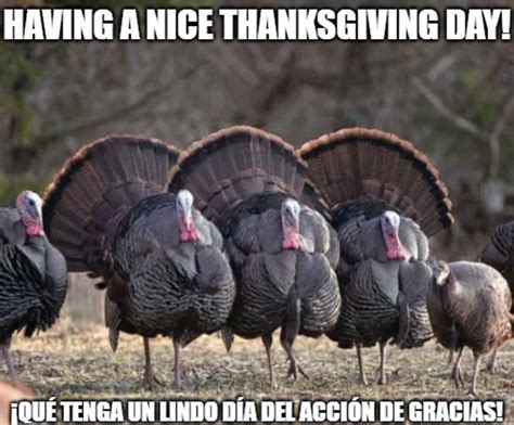 Family Turkey Meme Happy Thanksgiving Day by LoudCasaFanRico on DeviantArt