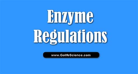 Enzyme Regulation: basics of Enzyme Regulation and its Types