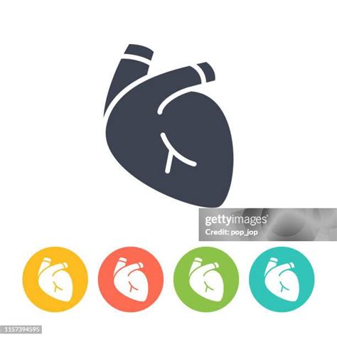 Human Heart Logo Photos and Premium High Res Pictures - Getty Images