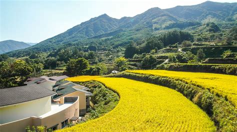 Rural landscape, power landscape, yellow light, stairs canon, autumn ...