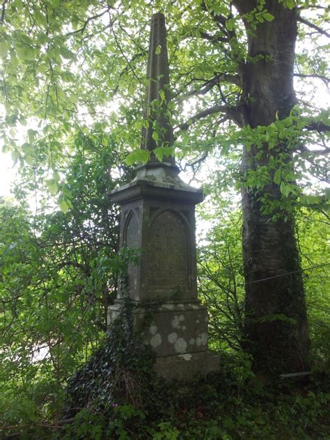 Old Kilbride Cemetery, Wicklow, Ireland | Visions Of The Past