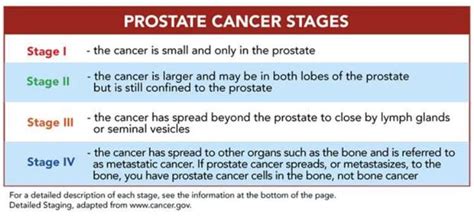 Prostate cancer stages