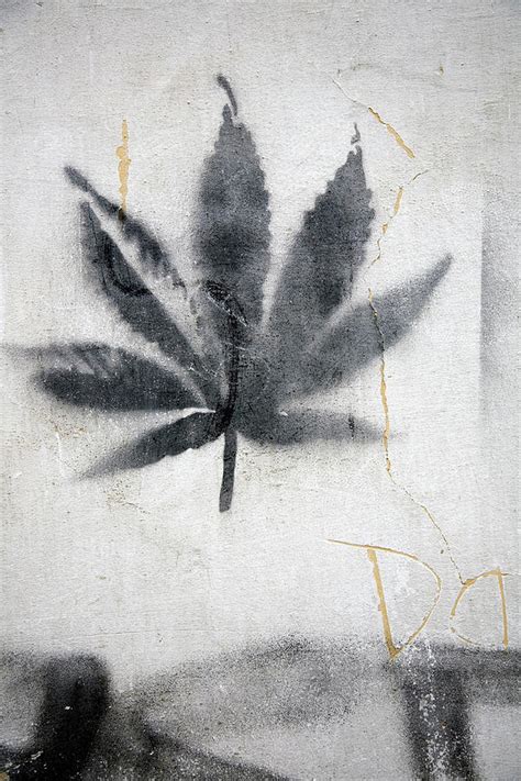 Graffiti Of A Marijuana Leaf Photograph by David Evans