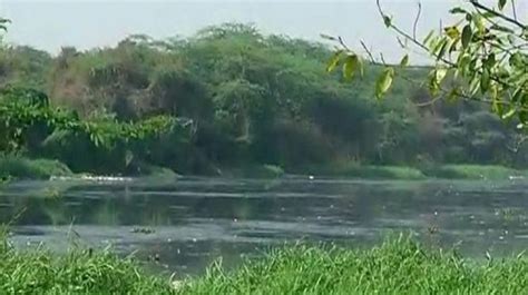 Not just Bengaluru lakes, Hyderabad's Musi River too sees rise in pollution | Not just Bengaluru ...