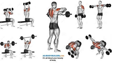 Best Shoulder Workout | Shoulder workout, Best shoulder workout, Gym workouts for men