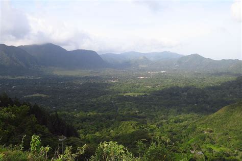 Birding in El Valle | Birding in a Volcano: El Valle de Anton | Whitehawk