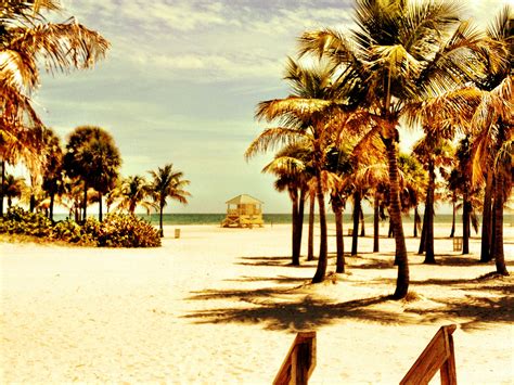 beach on key biscayne | Places to visit, My pictures, Key biscayne