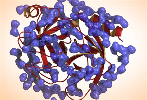 ⛔ Enzymes are made up of. What are enzymes made up of?. 2022-10-22