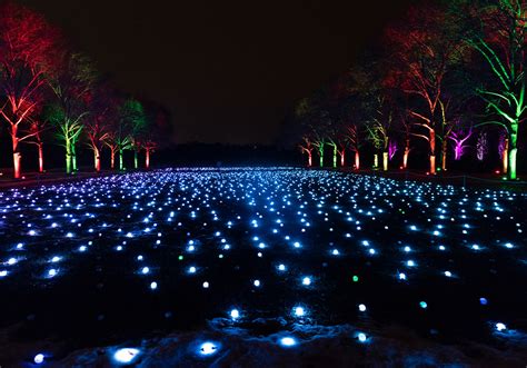 Chicago botanic garden lightscape tickets - hohpaventures