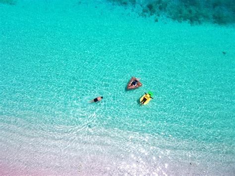 One of the best moments! Snorkeling in Pink Beach, Komodo Island. . . Next Trip Sailing Komodo ...