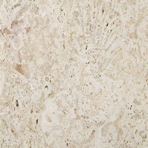 Coral Stone M24-COSTSA | Coral stone, Rock tile, Limestone texture