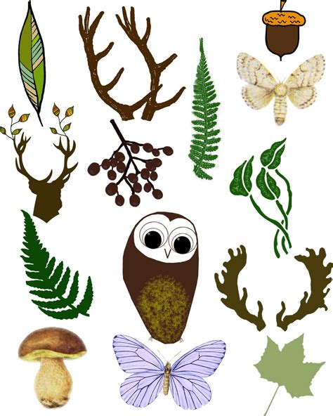 Woodland Clipart Forest Digital Images Antlers Fern Owl