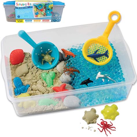 Ocean & Sand Sensory Bin | Tactile Sensory Tools | TFH USA