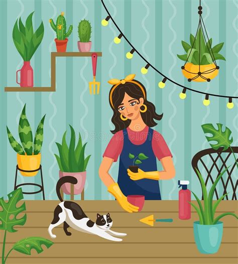 Woman in Plant Garden. Female Takes Care of Houseplants. Ficuses in Pots on Table or Shelves ...