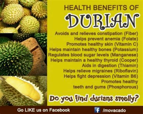 10 Health Benefits of Durian | 10HealthBenefits