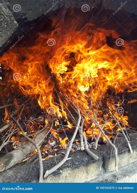 Flame stock photo. Image of firey, flame, fire, gray - 103163372