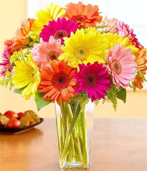 Gerbera Daisies Daisy Flower Arrangements | i'm getting MARRIED!! | Pinterest | Happy, Flower ...