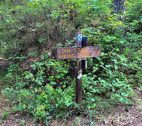 Trail Talk on the Lone Star Hiking Trail - Bayou City Adventures