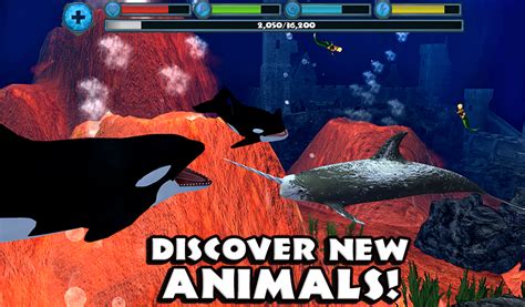 Amazon.com: Orca Simulator : Apps & Games