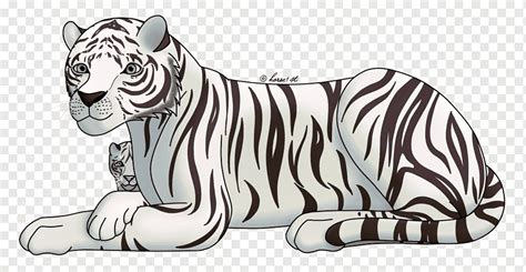 Dibujo de tigre blanco dibujo de tigre de bengala, tigre, pintura de acuarela, mamífero, lápiz ...