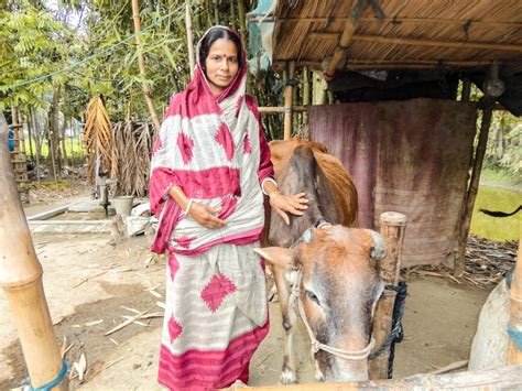 2017 Bangladesh FIA Flood Relief - Bangladesh (4) | Baptist Global Response