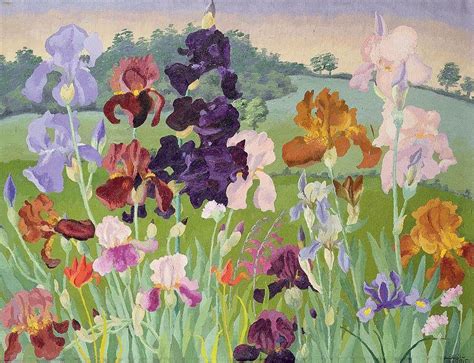 Irises - Cedric Morris (1889-1982)