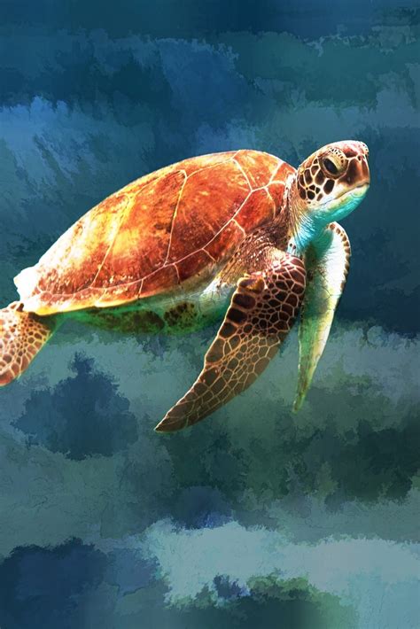 Sea Turtle Artistic Background Free Stock Photo - Public Domain Pictures