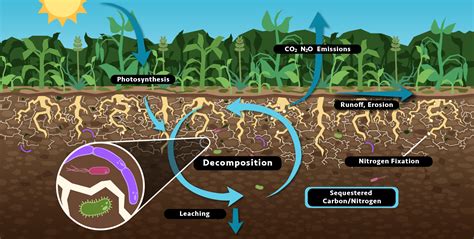 Resources: ARID - Agroecosystem Resilience in Times of Drought