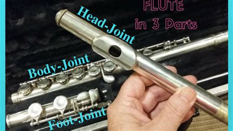 Flute in 3 parts - Tuneful Solutions