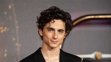 How To Get The Timothee Chalamet Haircut From Dune 2021 - NO GUNK