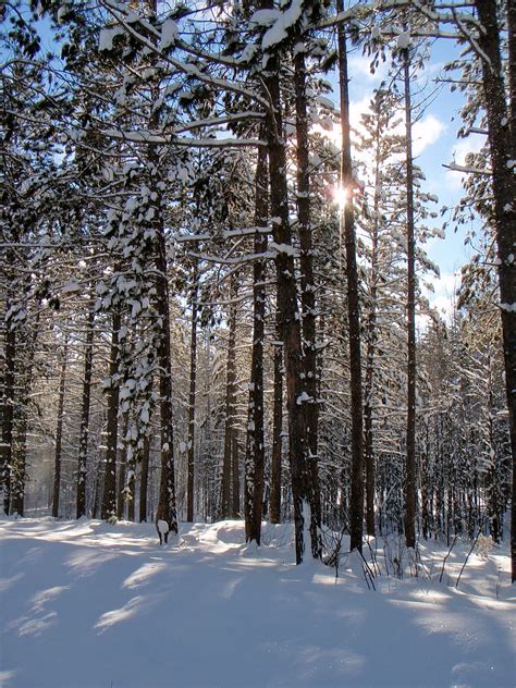 Bill's Magical Mystery Tour...: A Real Northern Minnesota Winter