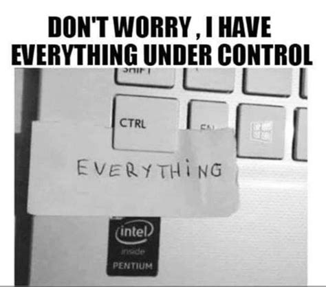 Everything is Under CONTROL 😜😂 : r/meme