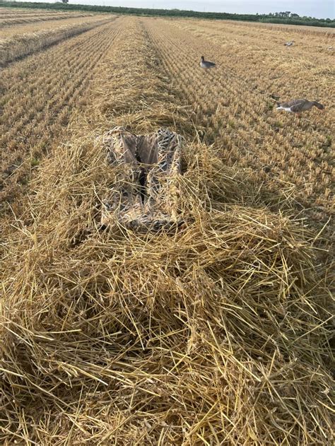 Layout blind wetland camouflage - Lokganzen -goosehunting